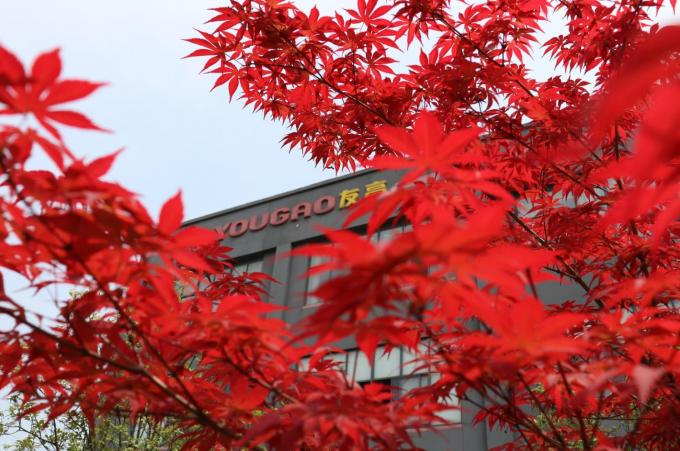 China Hefei Luox Yougao Technology Co., Ltd. company profile 2
