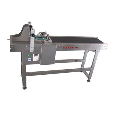 Automatic Carton CIJ Printer Date Code Friction Feeder