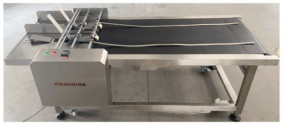 Inkjet Coding Automatic Paging Machine With Extended Plate Match with Inkjet Printer