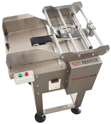 180W Plastic Bags Friction Drive Roller  Conveyor Semi Automatic