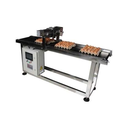 Popular Date Variable Frequency Coding Egg Belt Conveyor Stepper Motor Driven
