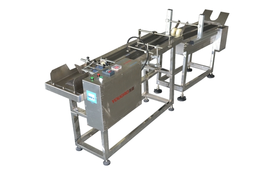 CIJ TTO LASER PRINTERS DOUBLE MOTOR PAGING MACHINE