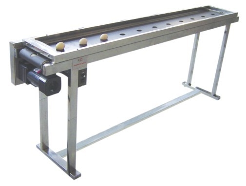 Stainless Steel Accurate Positioning Electronic Egg Date Coding Conveyor